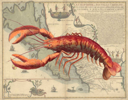 Picture of LOBSTER PRINT ON NAUTICAL MAP