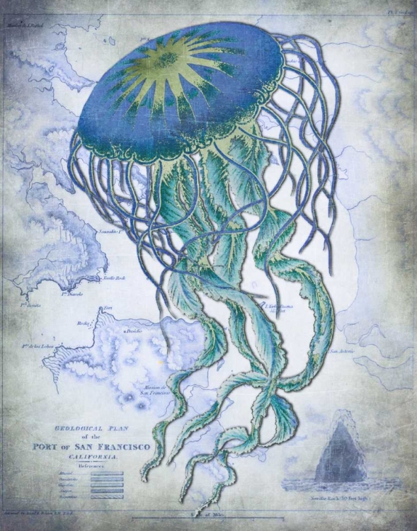 Picture of JELLYFISH ON IMAGE OF NAUTICAL MAP