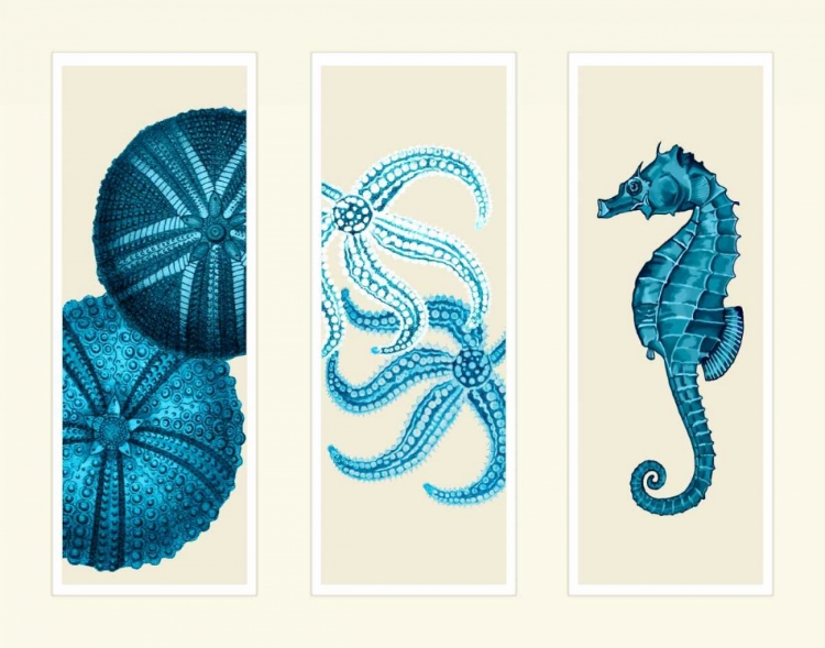 Picture of THREE PANEL PRINT SEA URCHIN STARFISH AND SEAHORSE IN BLUE