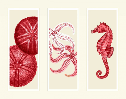 Picture of THREE PANEL PRINT SEA URCHIN STARFISH AND SEAHORSE IN RED