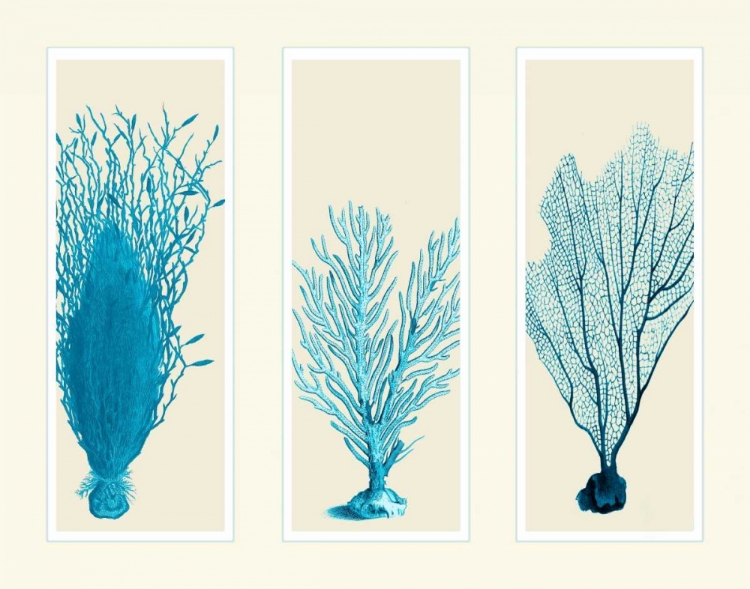 Picture of BLUE CORALS ON 3 PANELS