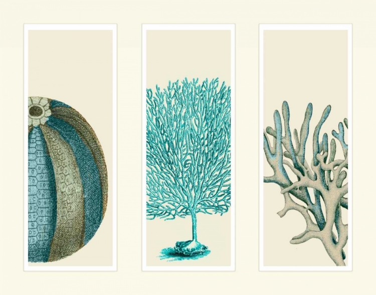 Picture of BLUE CORALS AND SEA URCHINS IN 3 PANELS