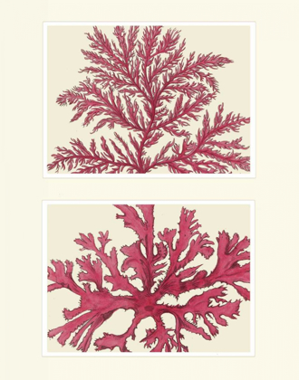 Picture of PINK SEAWEED PRINT ON 2 PANELS