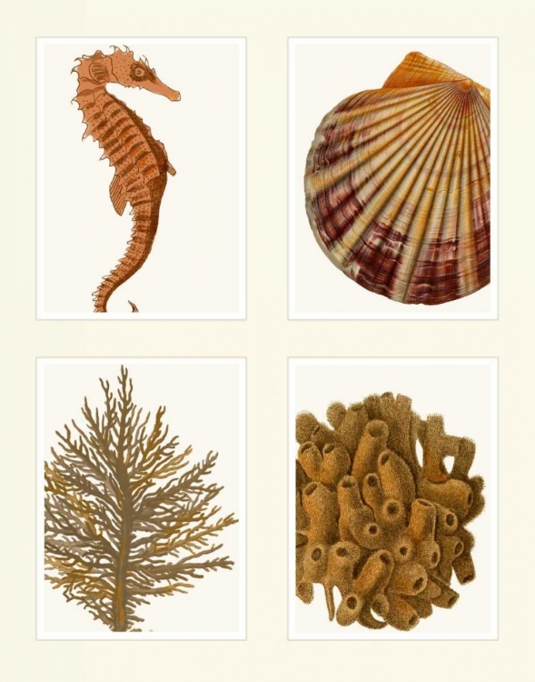 Picture of SEAHORSE CORAL AND SHELL ON 4 PANELS