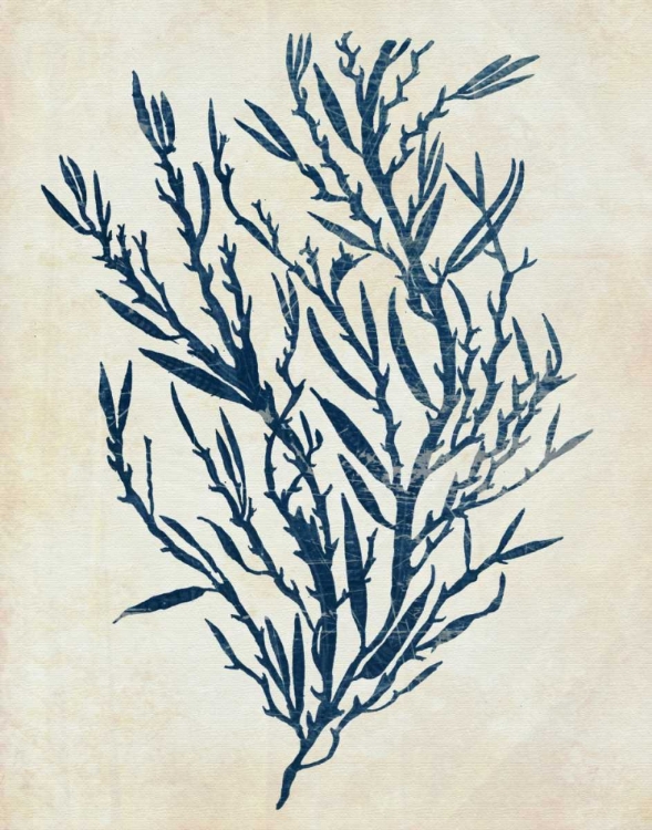 Picture of INDIGO BLUE SEAWEED 3 B