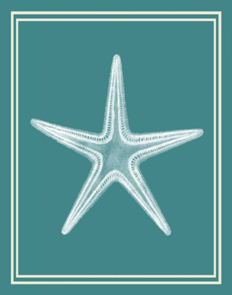 Picture of MIXED NAUTICAL WHITE ON TEAL A