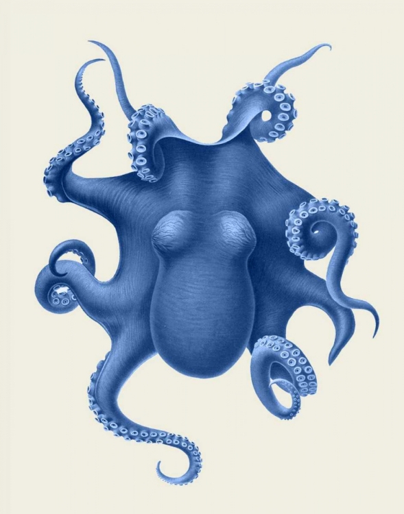 Picture of BLUE OCTOPUS ON CREAM D