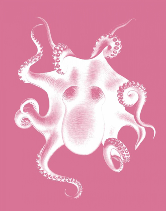 Picture of OCTOPUS WHITE ON PINK C