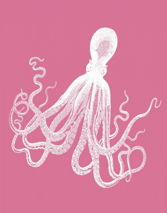 Picture of OCTOPUS WHITE ON PINK D