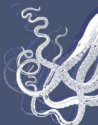 Picture of WHITE OCTOPUS ON INDIGO BLUE C