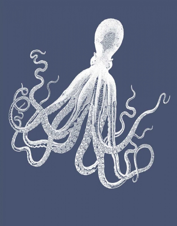 Picture of WHITE OCTOPUS ON INDIGO BLUE E