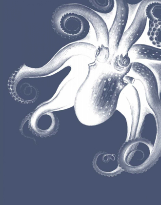 Picture of WHITE OCTOPUS ON INDIGO BLUE F