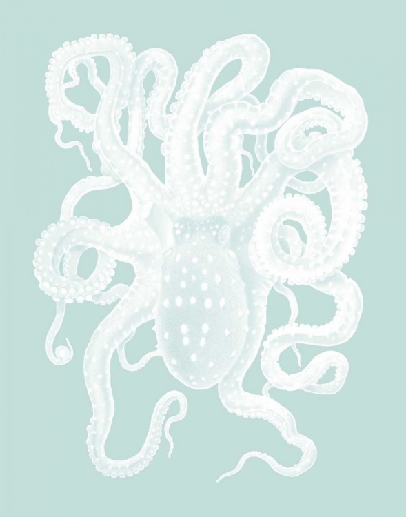 Picture of WHITE OCTOPUS ON SEAFOAM A