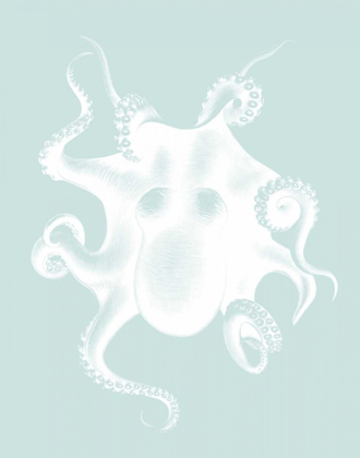 Picture of WHITE OCTOPUS ON SEAFOAM D