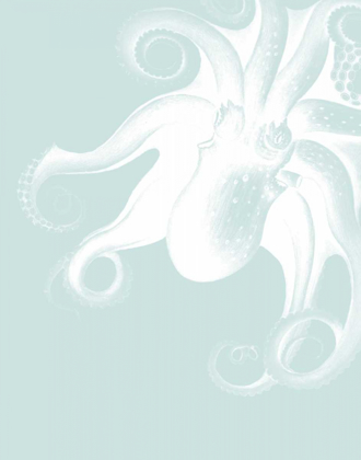 Picture of WHITE OCTOPUS ON SEAFOAM F