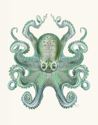 Picture of TURQUOISE OCTOPUS AND SQUID A