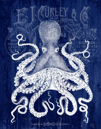 Picture of OCTOPUS PROHIBITION OCTOPUS ON BLUE