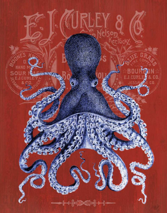 Picture of OCTOPUS PROHIBITION OCTOPUS ON RED