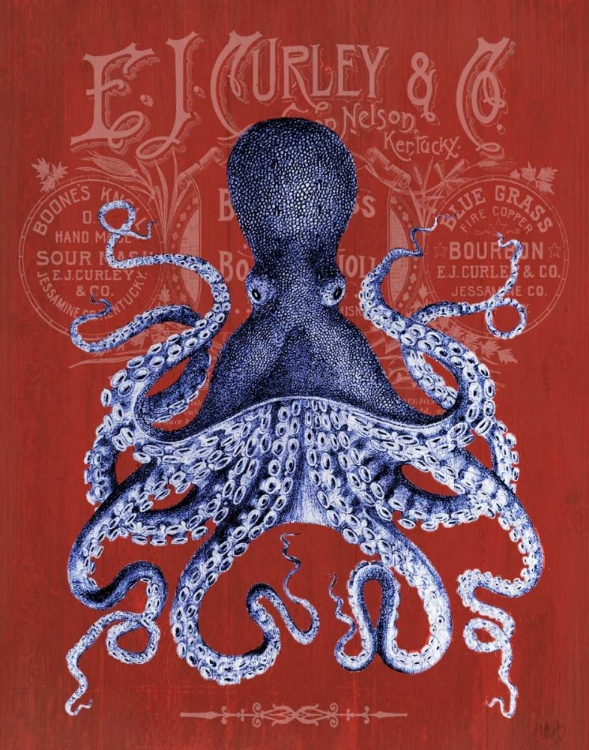 Picture of OCTOPUS PROHIBITION OCTOPUS ON RED