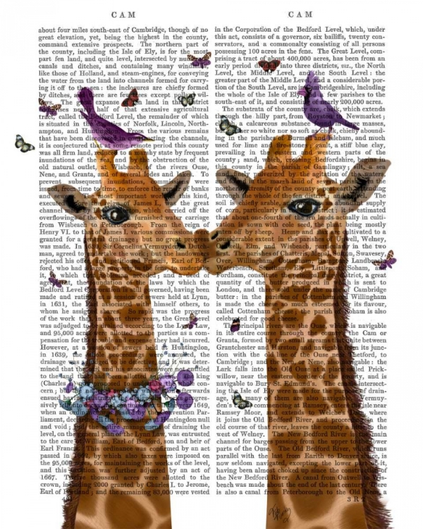 Picture of KISSING GIRAFFES WITH BIRDS