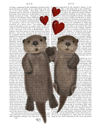 Picture of OTTERS HOLDING HANDS