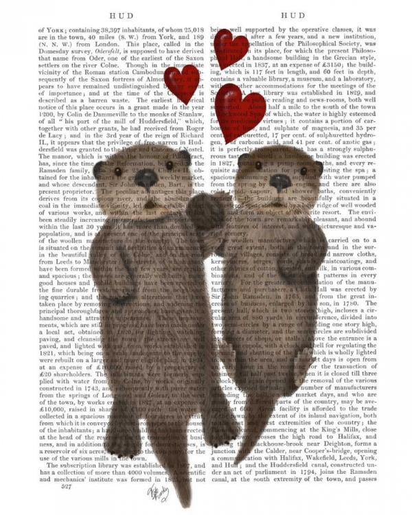 Picture of OTTERS HOLDING HANDS