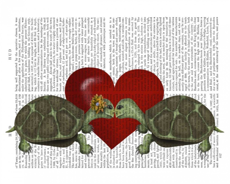 Picture of TURTLE KISS