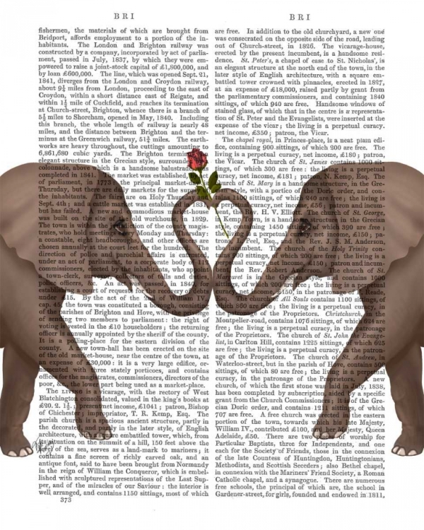 Picture of ELEPHANTS HEART AND ROSE