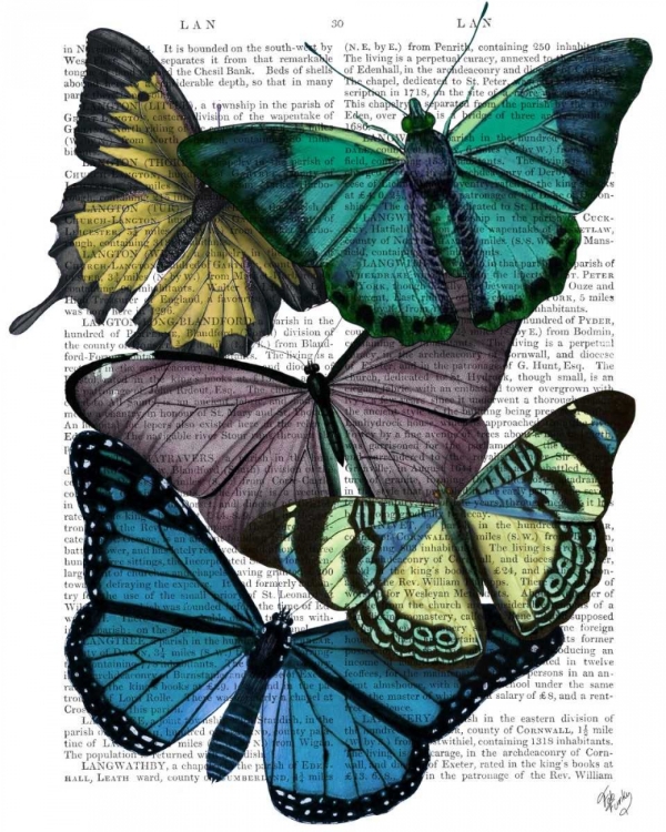 Picture of BIG BOLD BUTTERFLIES 4