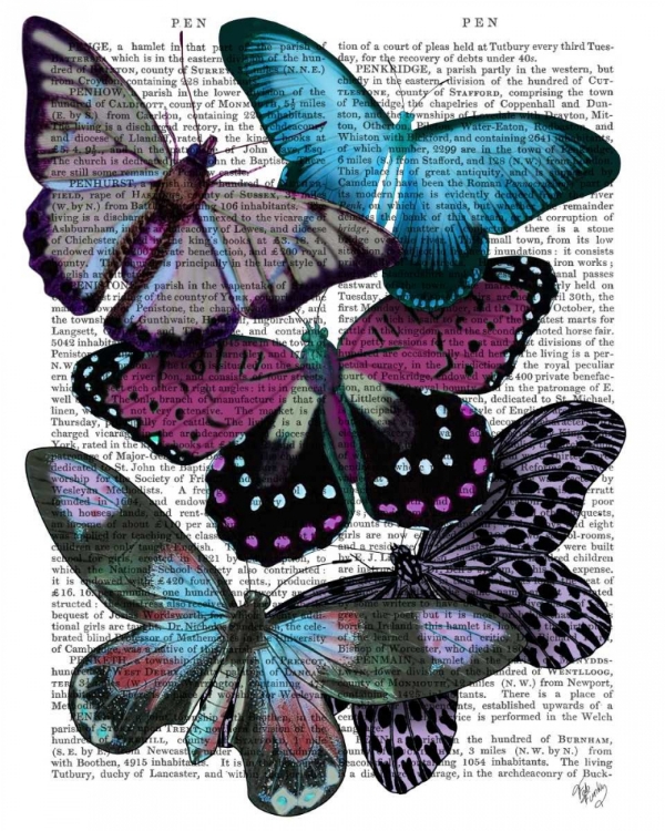 Picture of BIG BOLD BUTTERFLIES 5