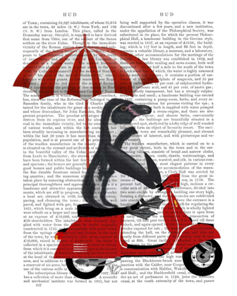 Picture of PENGUIN ON RED MOPED