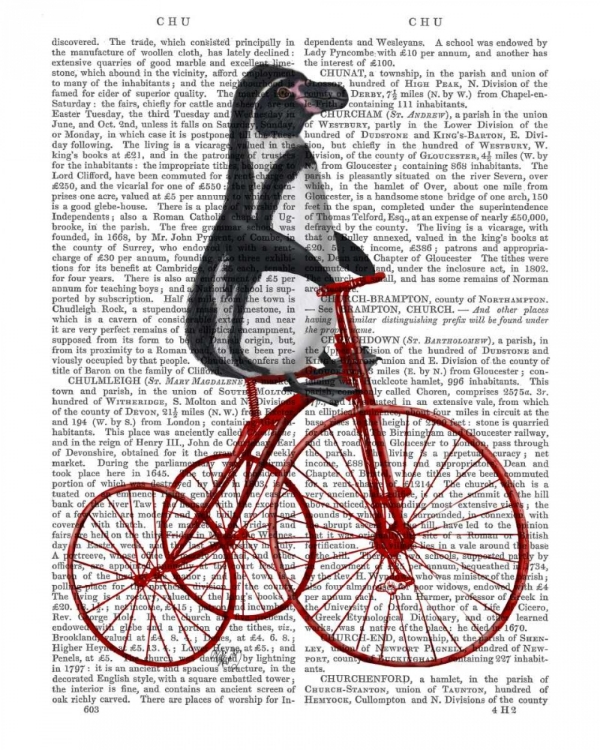 Picture of PENGUIN ON BICYCLE