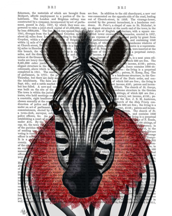 Picture of ZEBRA AND RED RUFF