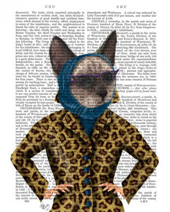 Picture of CAT WITH LEOPARD JACKET