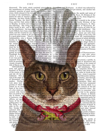 Picture of CAT CHEF