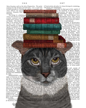 Picture of GREY CAT WITH BOOKS ON HEAD