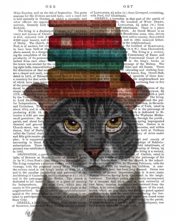 Picture of GREY CAT WITH BOOKS ON HEAD