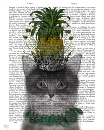 Picture of CAT, PINEAPPLE PUSS