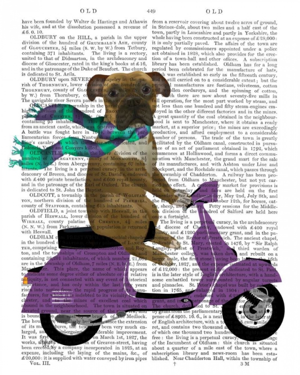 Picture of BOXER ON MOPED