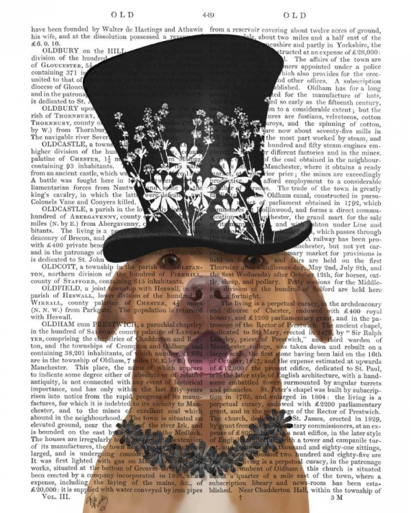 Picture of PIT BULL WITH BLACK HAT