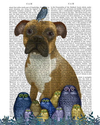 Picture of BOXER AND OWLS