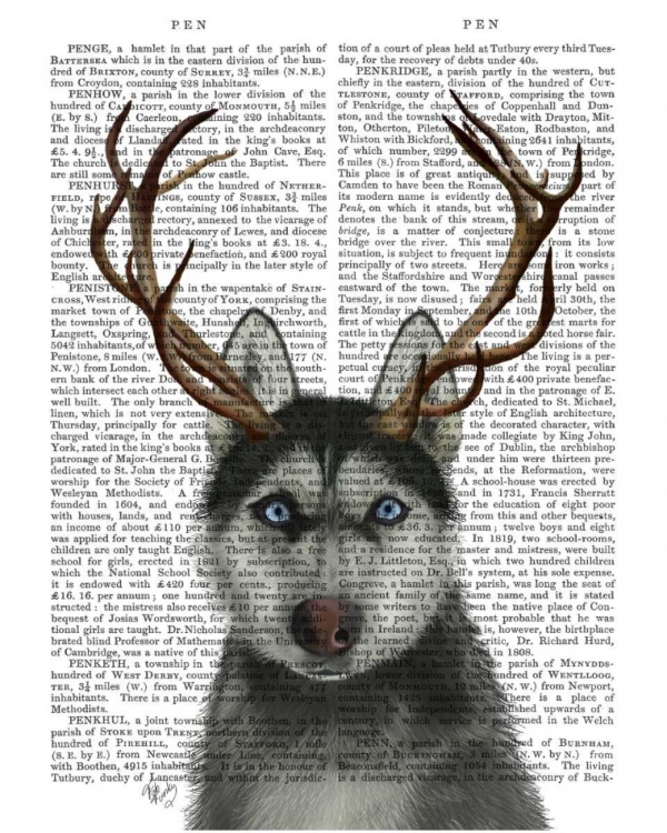 Picture of HUSKY AND ANTLERS