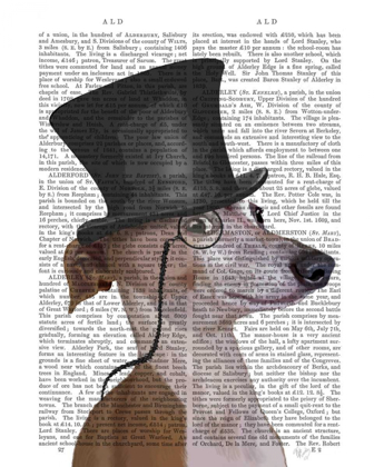 Picture of GREYHOUND, FORMAL HOUND AND HAT