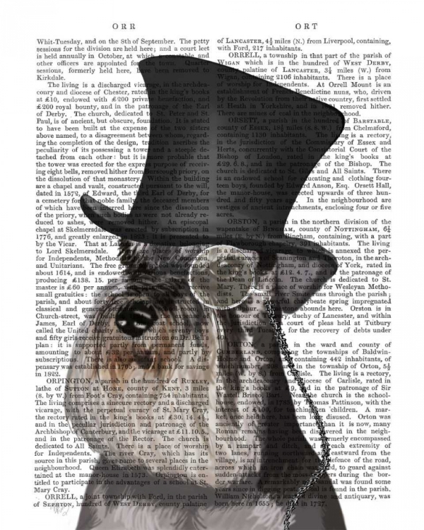 Picture of SCHNAUZER, FORMAL HOUND AND HAT