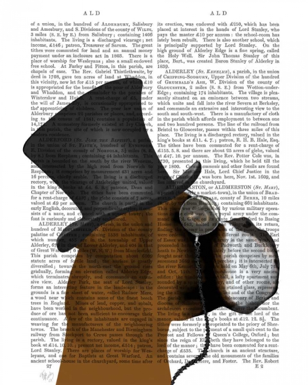 Picture of BOXER, FORMAL HOUND AND HAT