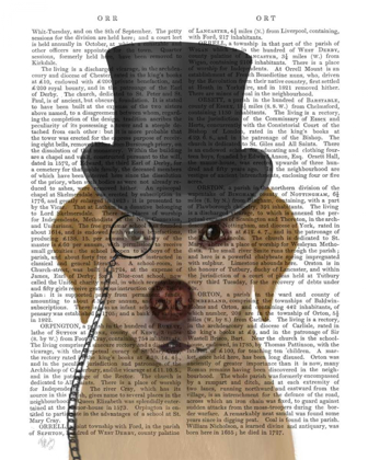 Picture of YELLOW LABRADOR, FORMAL HOUND AND HAT