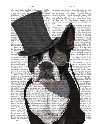 Picture of BOSTON TERRIER, FORMAL HOUND AND HAT