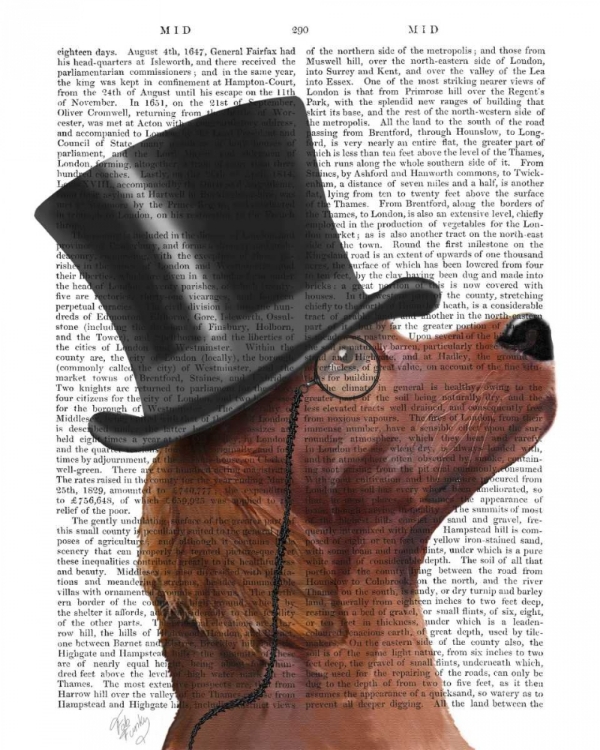 Picture of RED SETTER, FORMAL HOUND AND HAT