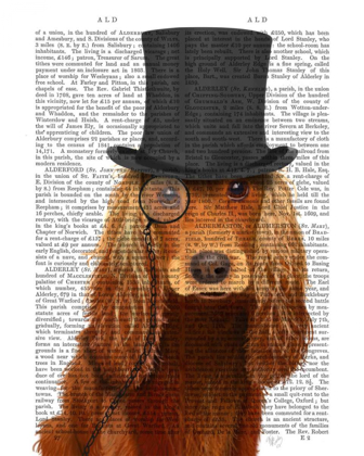 Picture of COCKER SPANIEL, FORMAL HOUND AND HAT