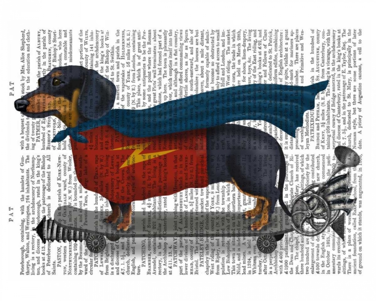 Picture of DACHSHUND ON SKATEBOARD